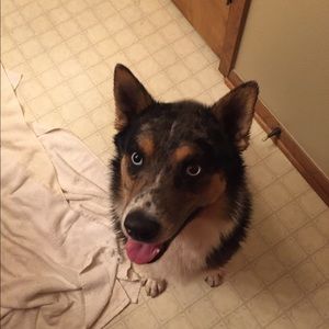 Meet your Posher, Sharon